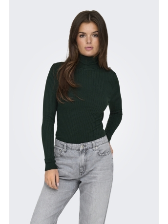 Only Trui ONLKAROL L/S ROLLNECK PULLOVER KNT 15165075 Scarab