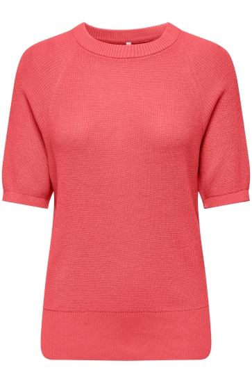 Only Trui ONLLECIA LIFE SS RAGLAN O-NECK CC K 15339541 DUBARRY/MELANGE