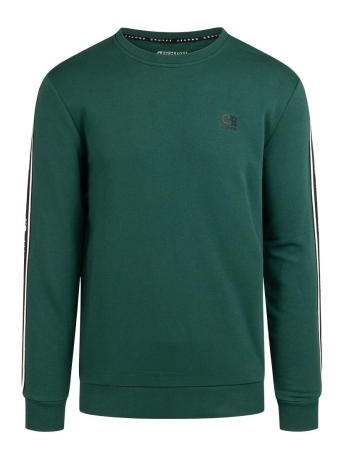 Cruyff Trui XICOTA CREWNECK CSA233016 503 DARK GREEN