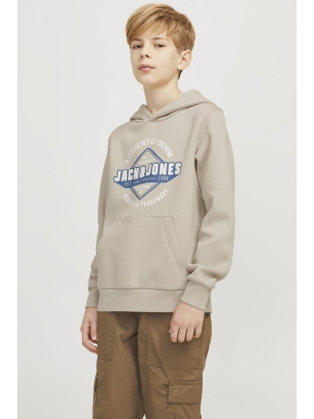 Jack & Jones Junior Trui JJELOGO SWEAT HOOD 2 COL 24/25 NOOS 12258823 Moonbeam