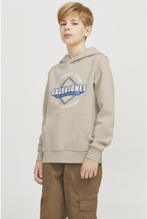 Jack & Jones Junior jjelogo sweat hood 2 col 24/25 noos