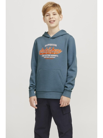 Jack & Jones Junior Trui JJELOGO SWEAT HOOD 2 COL 24/25 NOOS 12258823 Oceanview