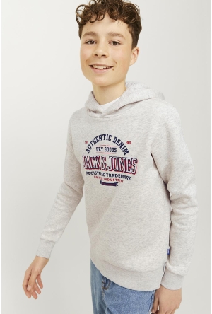 Dit is ook leuk van Jack & Jones Junior Trui