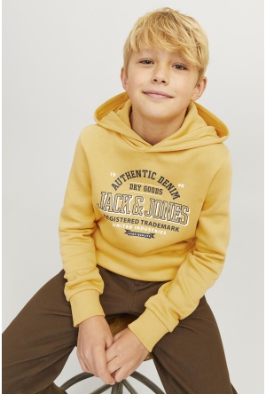 Dit is ook leuk van Jack & Jones Junior Trui