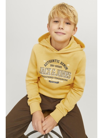 Jack & Jones Junior Trui JJELOGO SWEAT HOOD 2 COL 24/25 NOOS 12258823 Honey Gold