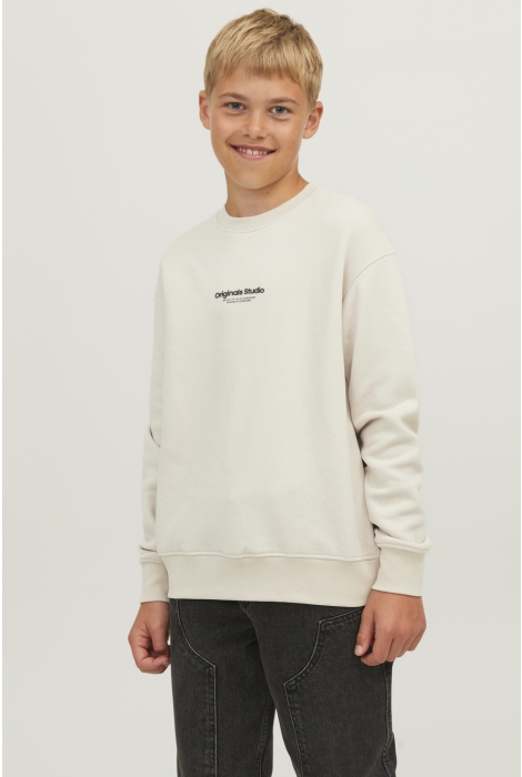 Jack & Jones Junior jorvesterbro sweat crew neck noos j