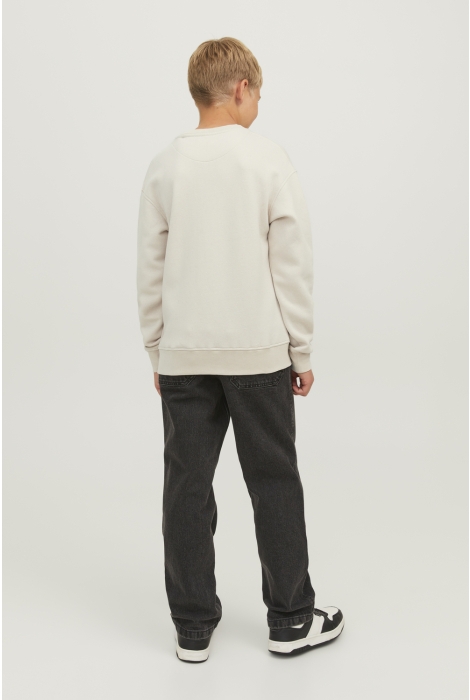 Jack & Jones Junior jorvesterbro sweat crew neck noos j