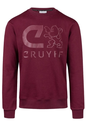 Dit is ook leuk van Cruyff Trui