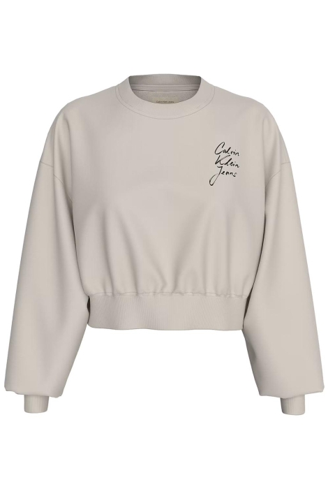 Calvin Klein script institutional