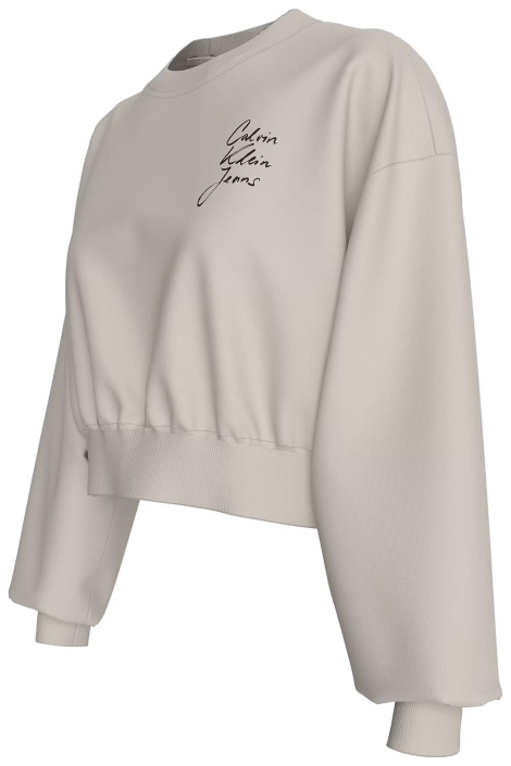 Calvin Klein script institutional