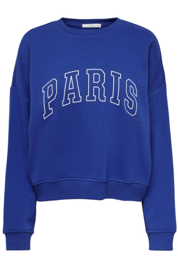 Only Trui ONLSWEAT LIFE L/S CREW O SIZE STATE 15254183 SURF THE WEB/PARIS