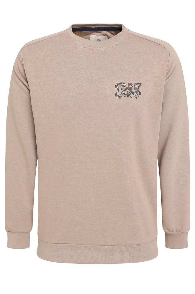 SWEATER MET PATROON 774782 4445 Taupe