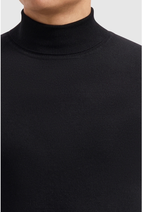 Pure Path regular fit knitwear turtleneck