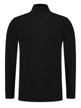 Pure Path Trui REGULAR FIT KNITWEAR MOCKNECK LS 10814 02 BLACK