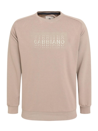 Gabbiano Trui SWEATER MET TEKSTOPDRUK 774784 4445 taupe