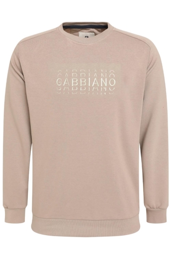 Gabbiano Trui SWEATER MET TEKSTOPDRUK 774784 4445 taupe