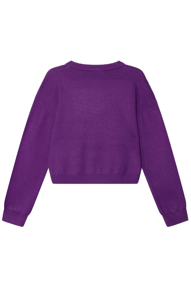 KNITTED SWEATER TIFFANY R2411695614 801 PURPLE