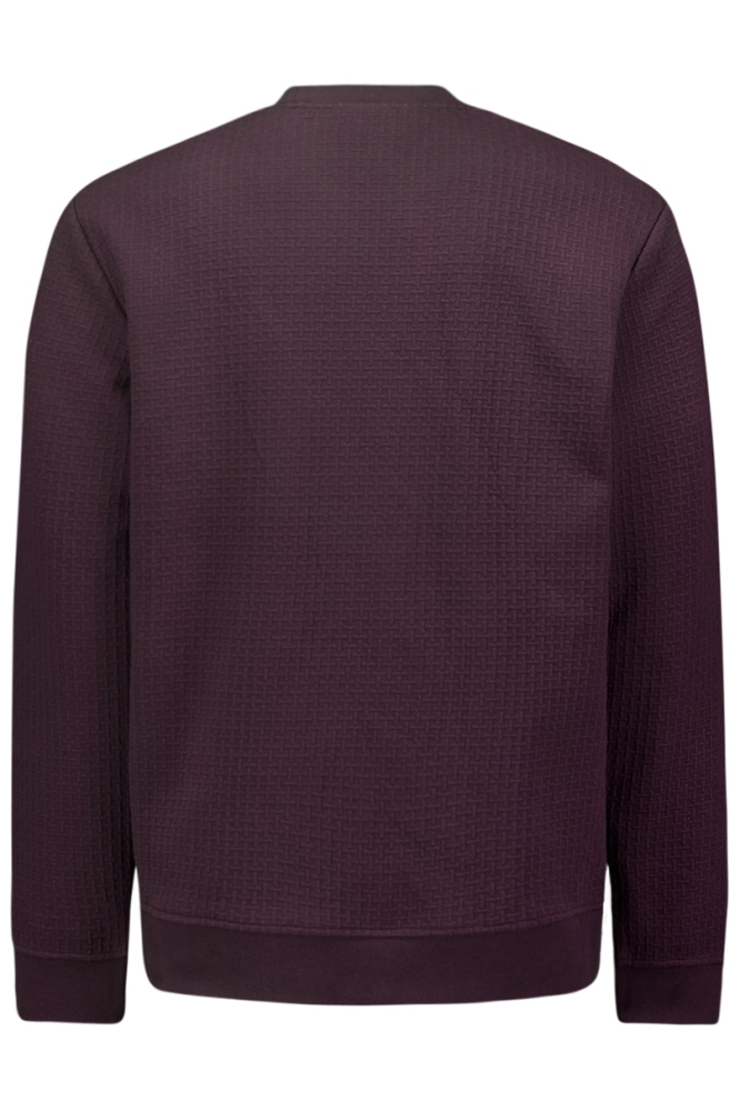 SWEATER MET PATROON 25100908 083 AUBERGINE