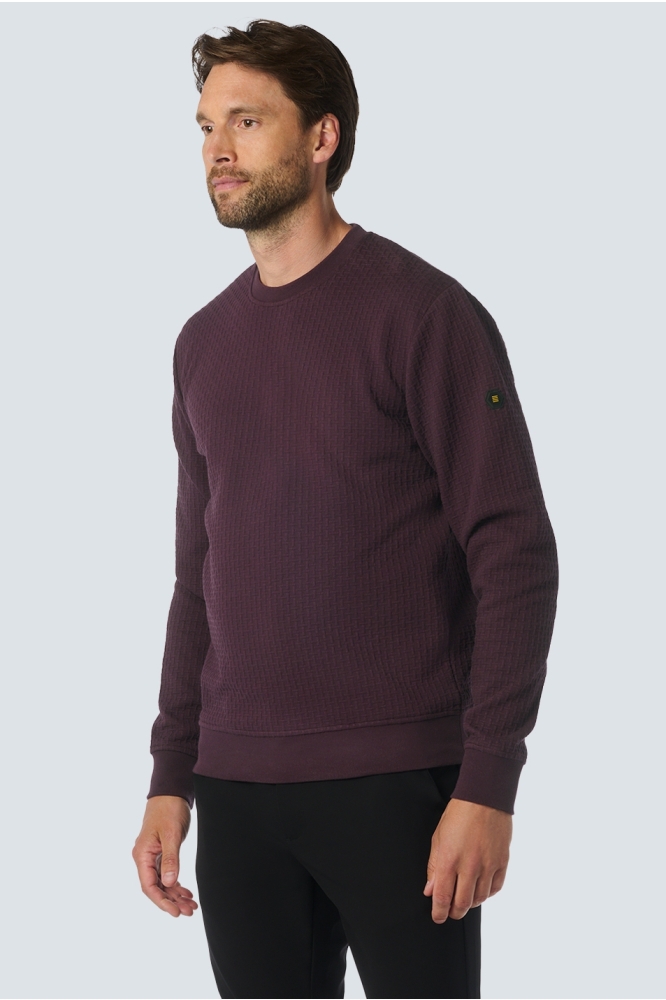 SWEATER MET PATROON 25100908 083 AUBERGINE