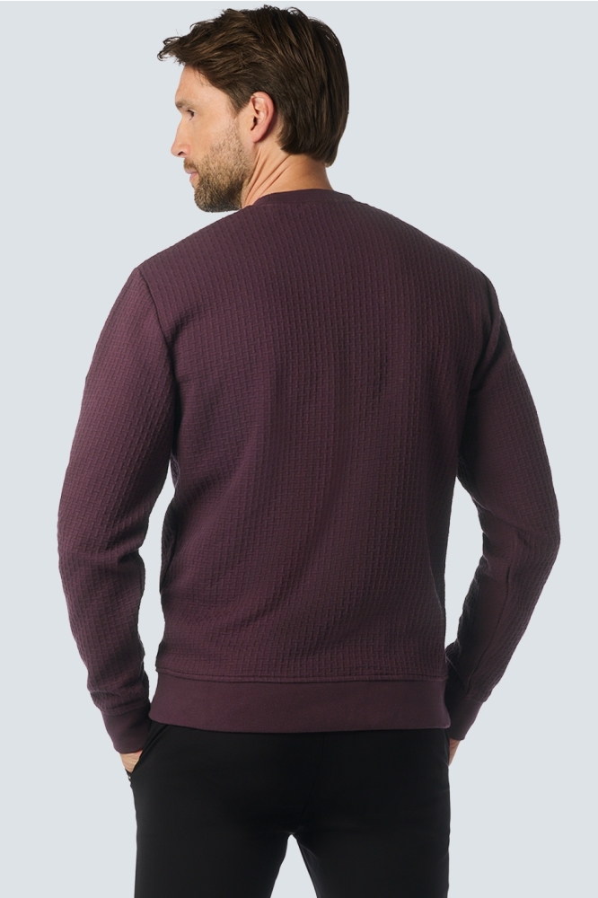 SWEATER MET PATROON 25100908 083 AUBERGINE