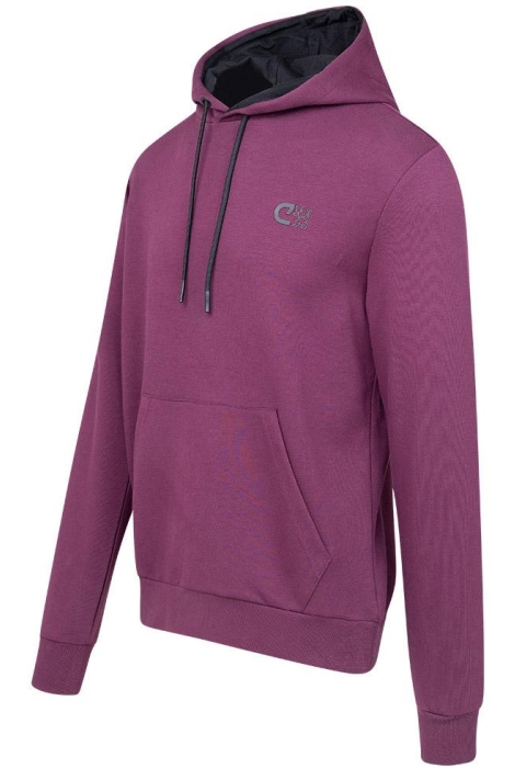 Cruyff joaquim hoodie