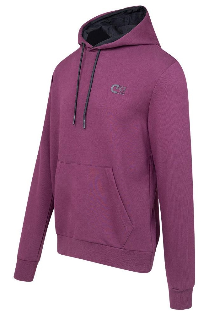 JOAQUIM HOODIE CSA223015 301 GRAPE WINE