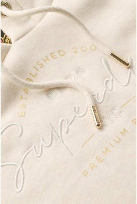 Superdry luxe metallic logo hoodie