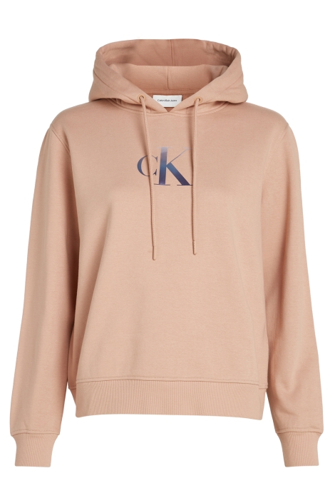 Calvin Klein gradient ck hoodie