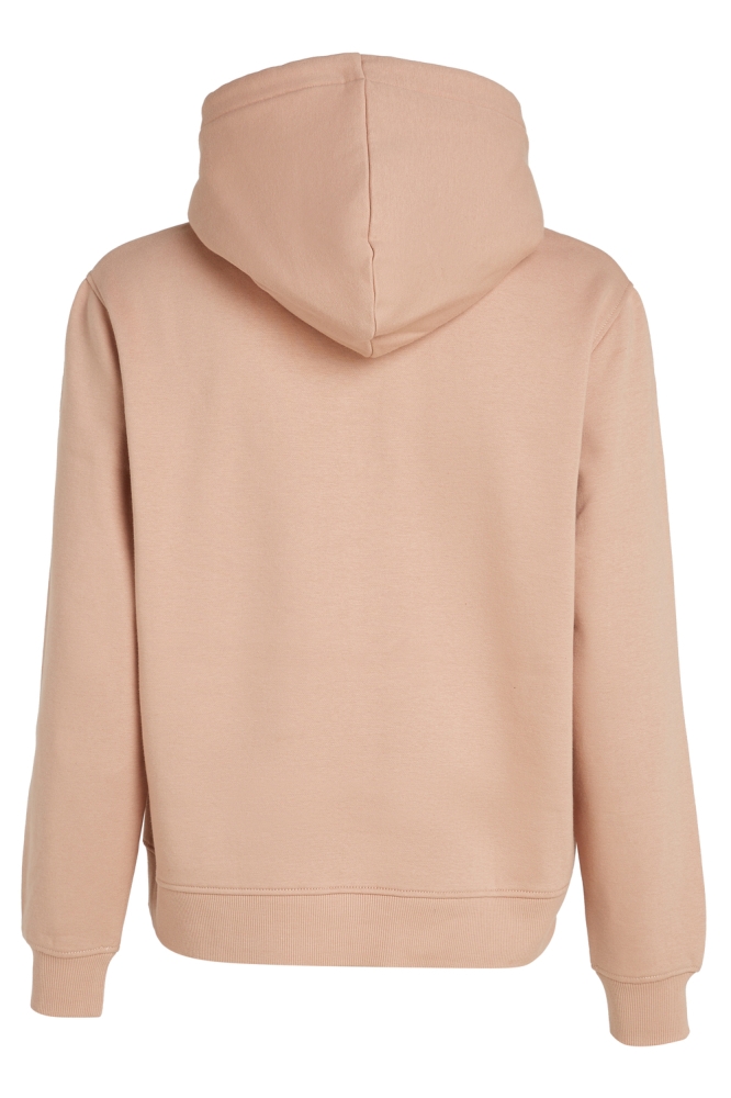 GRADIENT CK HOODIE J20J224721 TUSCANY