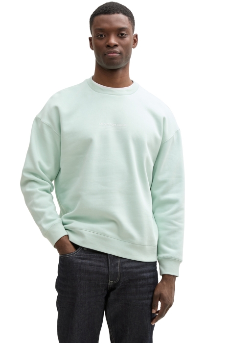 Tom Tailor relaxed printed crewneck sweat