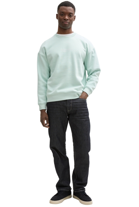 Tom Tailor relaxed printed crewneck sweat