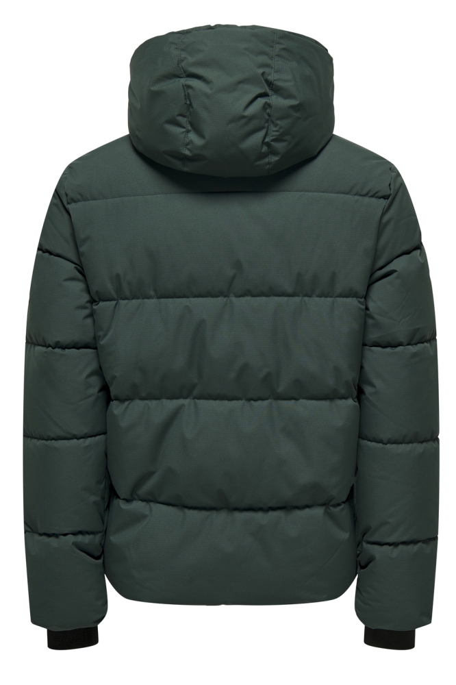 ONSELIJAH PCKT. HOOD JACKET NOOS 22029661 Darkest Spruce