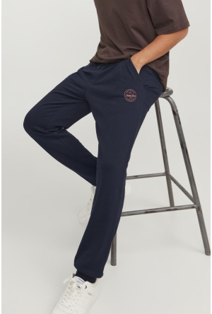 Dit is ook leuk van Jack & Jones Broek