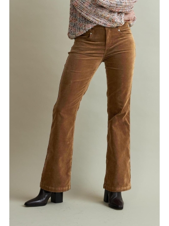 Red Button Broek BIBETTE VELVET SRB4319 Cognac