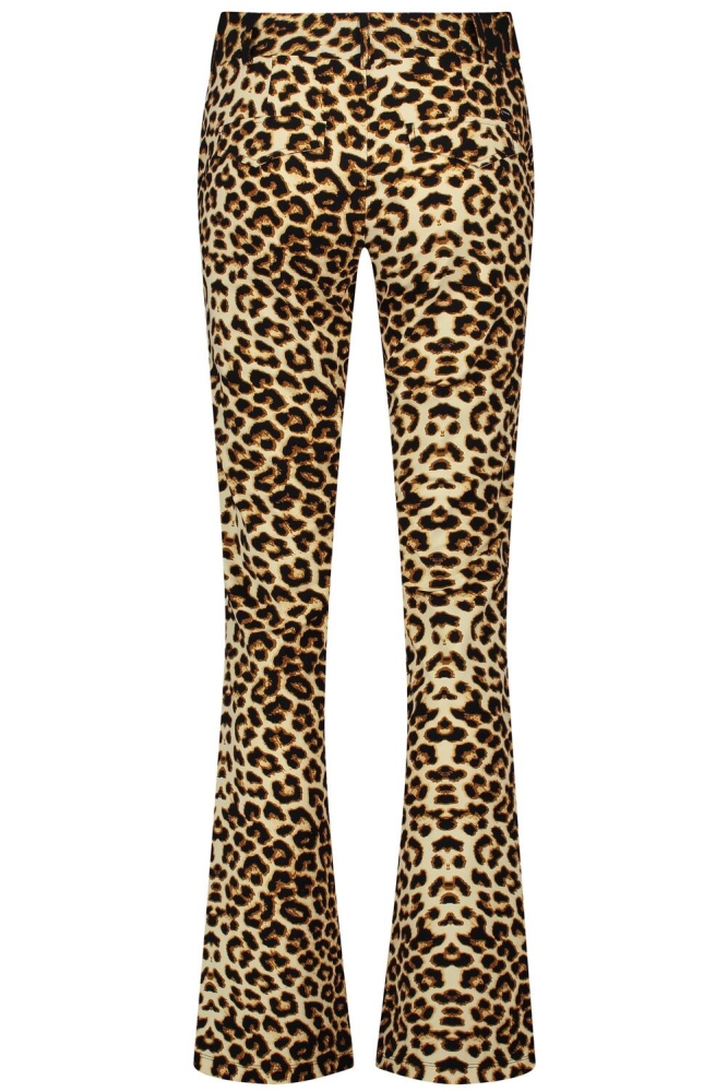 POPPY FLARED L14 498 2704 LEOPARD PRINT