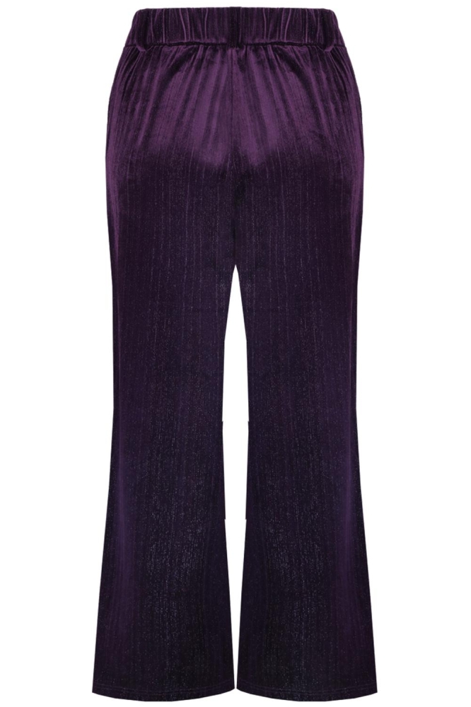 ZELDA PANTS 24WZF17 GRAPE PURPLE