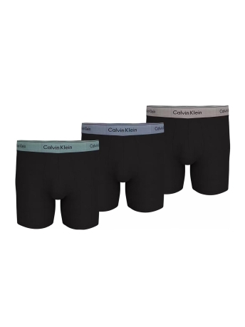 Calvin Klein Ondergoed BOXER BRIEF 3PK 000NB3964AU2Y B-ZONI BEACH TROPOSPHERE ASH WBS