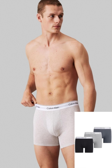 Calvin Klein Ondergoed BOXER BRIEF 3PK 000NB3964A PT3 BLACK, LIGHT GREY HEATH, TURBULENCE